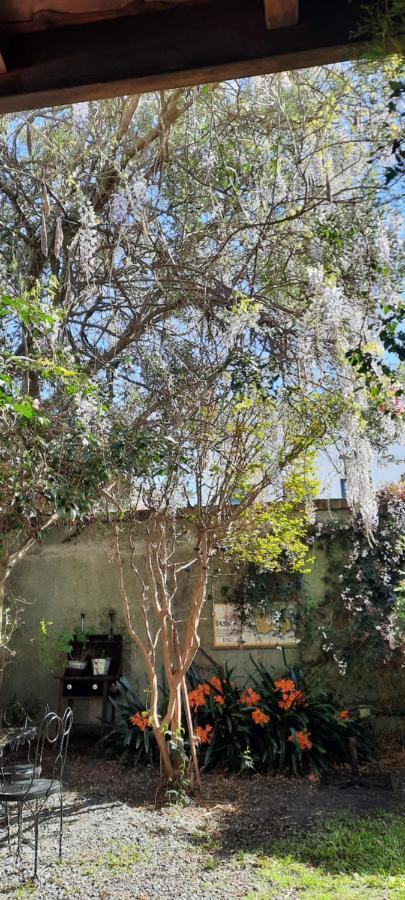Casa En Barrio Historico Villa Colonia del Sacramento Exterior photo
